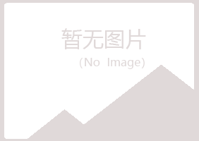 岳池县梦柏工程有限公司